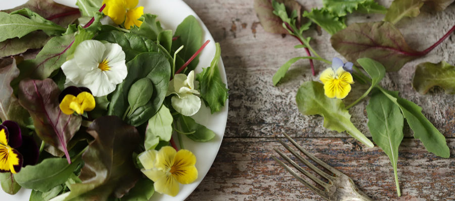 Flores comestibles: del jardín a tu mesa